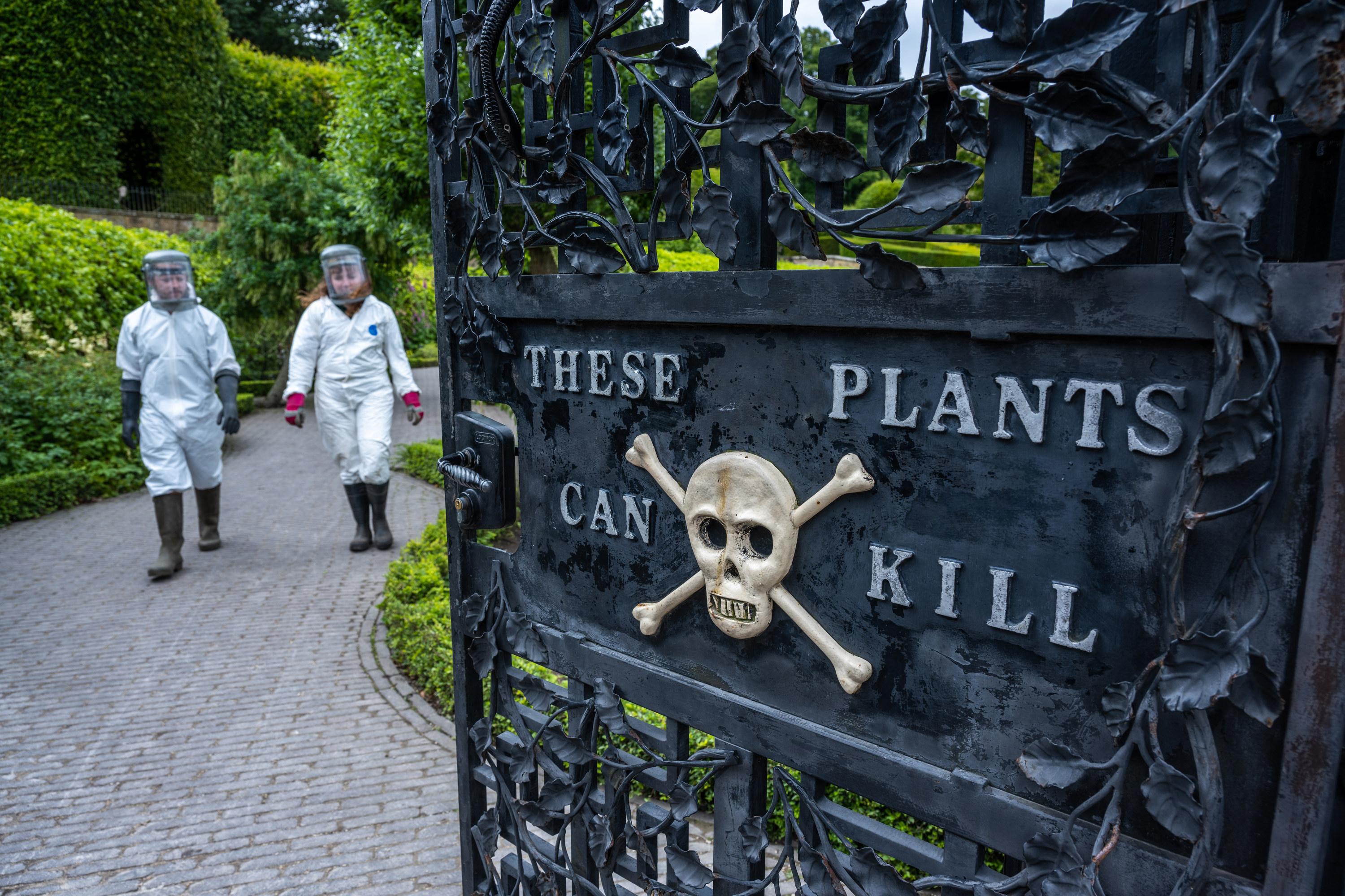 The Poison Garden: Is Alnwick Castle Trying to Kill You